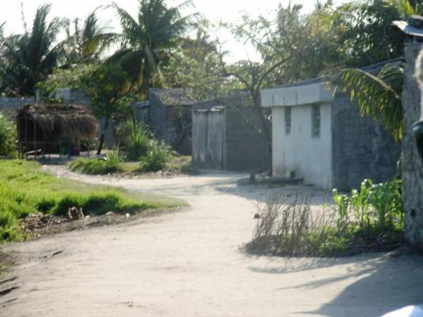 “To stop is to die…”